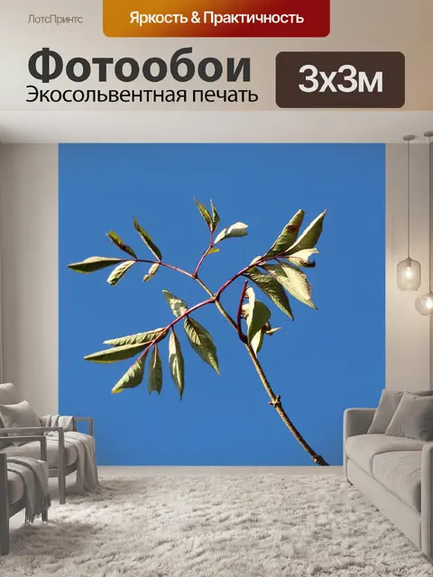 Фотообои Листья