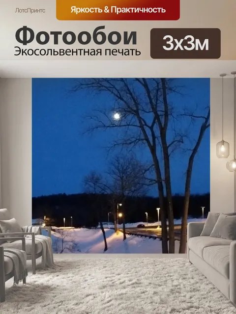 Фотообои Снег, спокойствие, зимний вечер