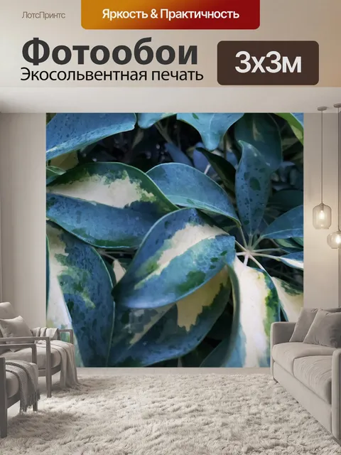 Фотообои Крупный план зеленых и растительных лист