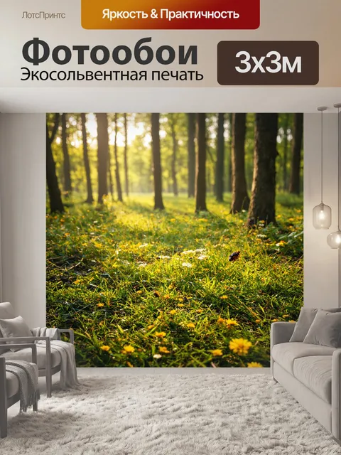 Фотообои утро: сказочный лес с утренним светом, пробивающимся сквозь листву, который создает красивые узоры на земле