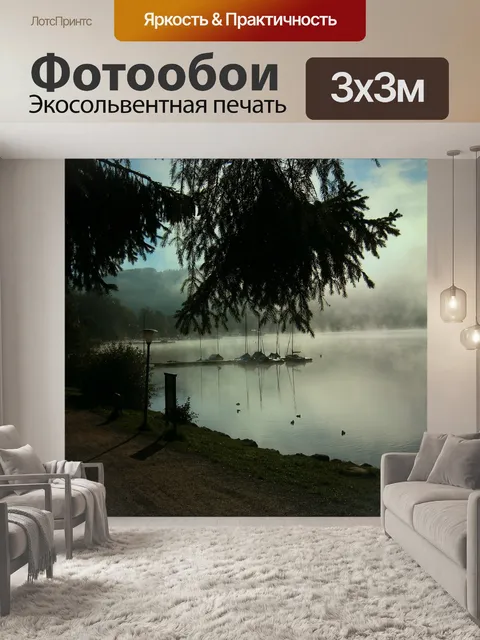 Фотообои Черный лес