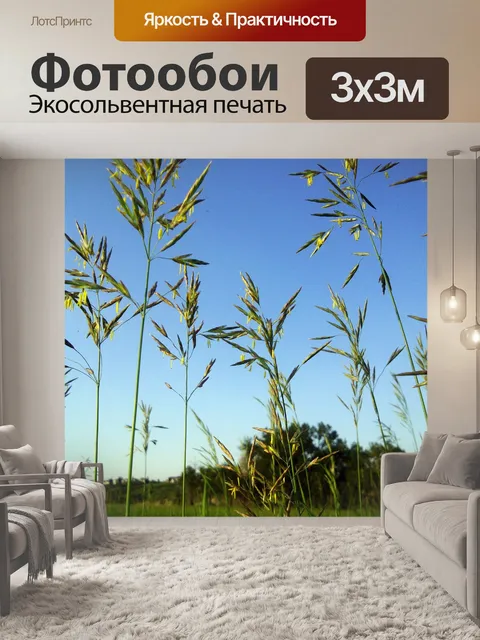 Фотообои Высокая трава