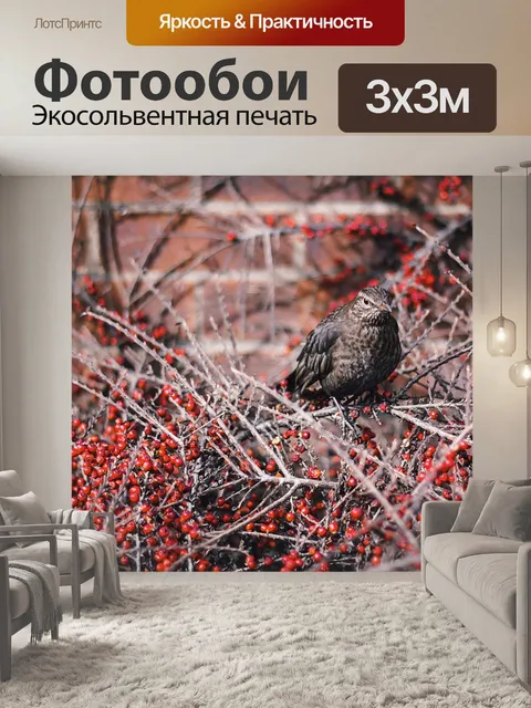Фотообои Птица