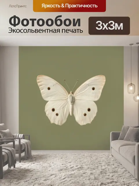 Фотообои Белая бабочка на оливковом фоне