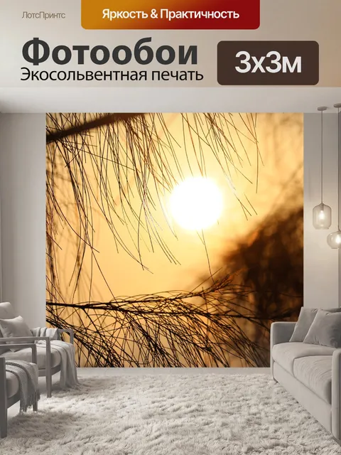 Фотообои Заход солнца