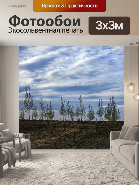 Фотообои деревья, облака и небо