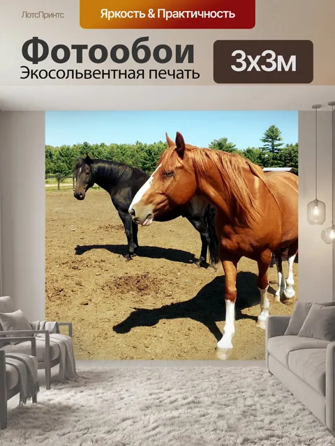 Фотообои Лошади