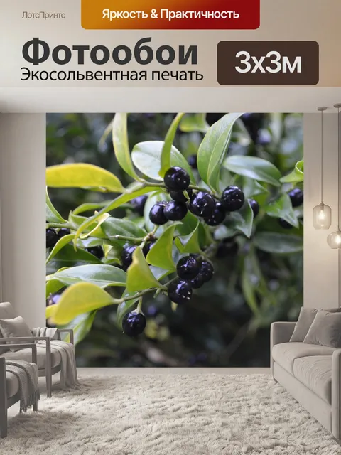 Фотообои черные ягоды
