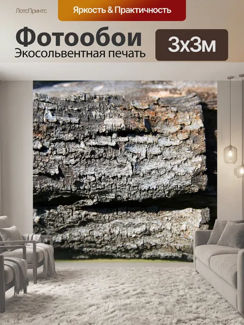 Фотообои Кора на мертвой древесине