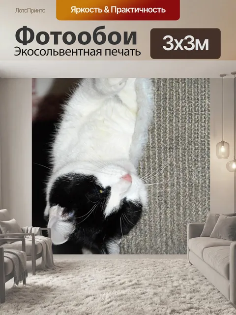Фотообои Играют кошки