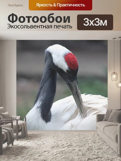 Фотообои Японский журавль