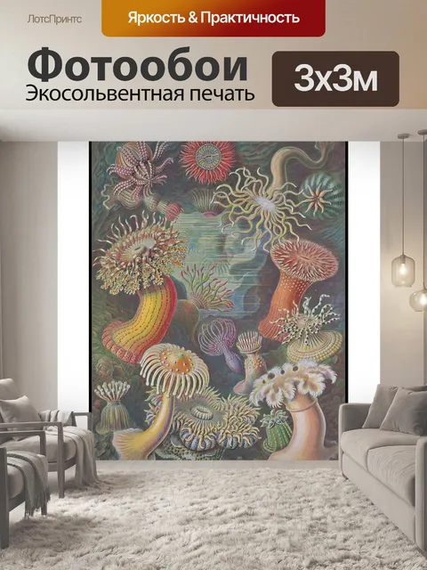 Фотообои Медузы коралловый риф винтаж