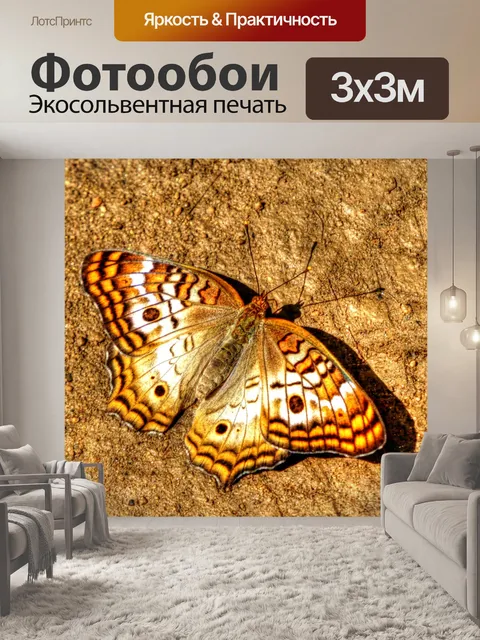 Фотообои Золотая бабочка