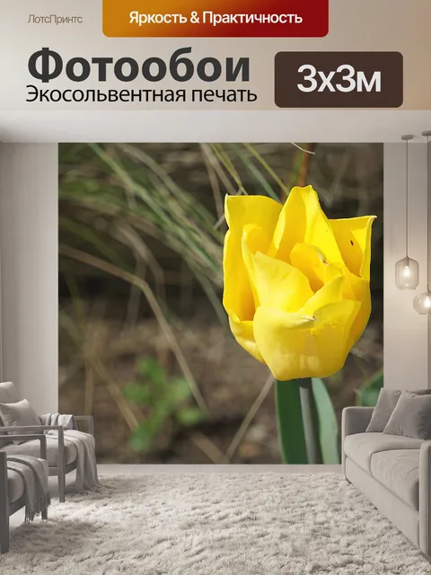 Фотообои Желтый тюльпан
