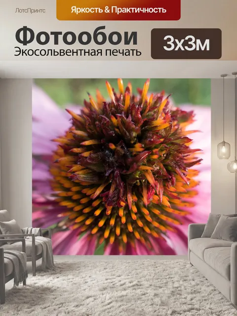 Фотообои Фиолетовый цветок конуса