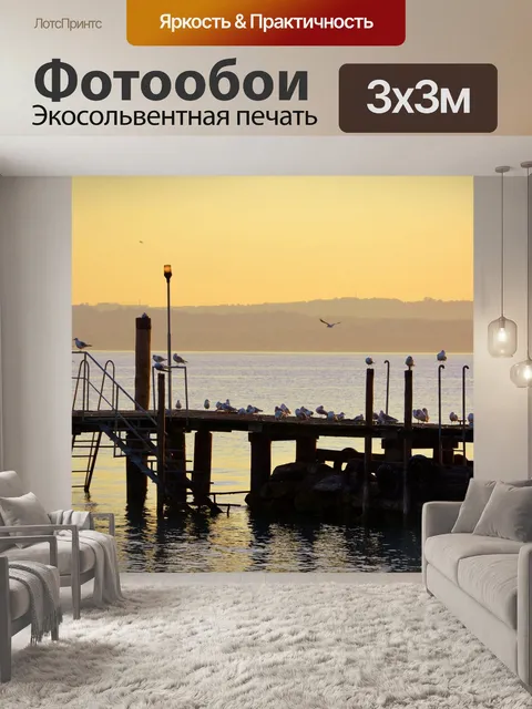 Фотообои Чайки