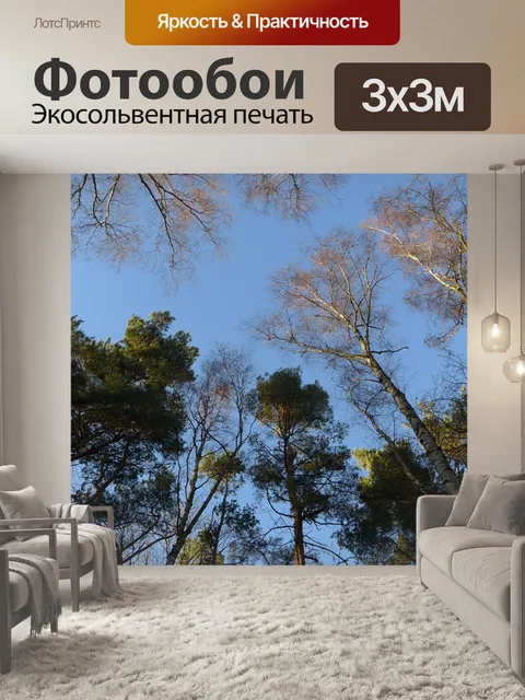 Фотообои Лес