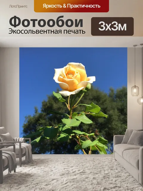 Фотообои Цветок