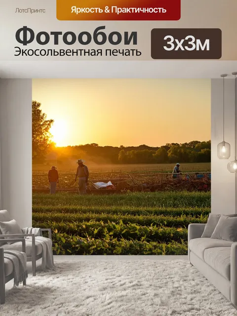 Фотообои летнее утро на ферме, когда солнце медленно поднимается, освещая работу и заботы фермеров