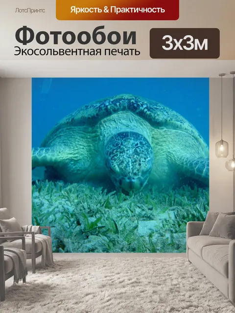 Фотообои Морская черепаха