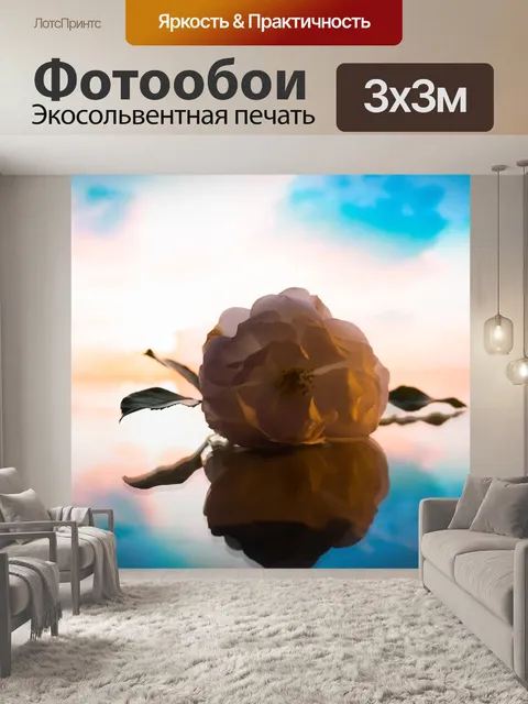 Фотообои Роза