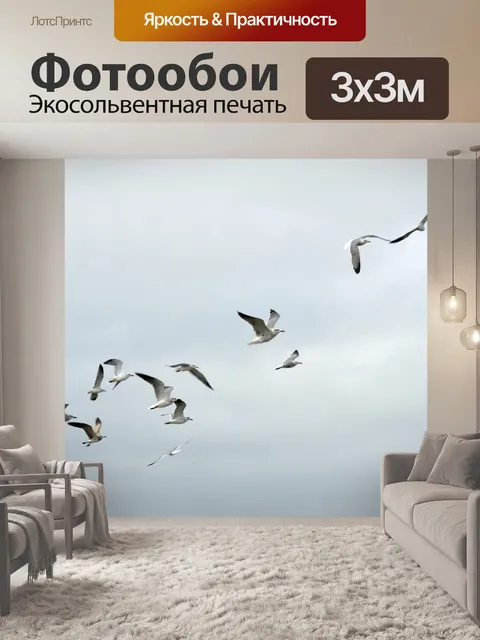 Фотообои Чайки летают