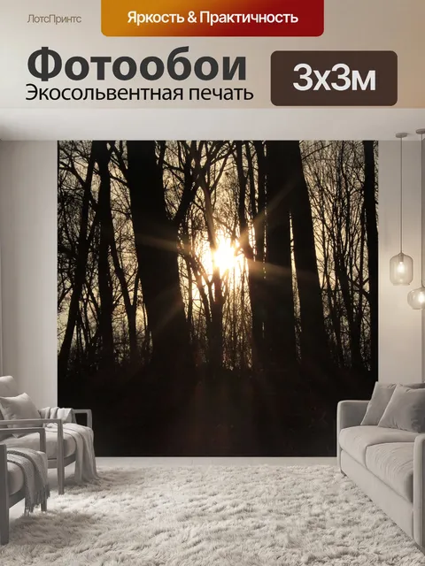 Фотообои Солнце сквозь деревья