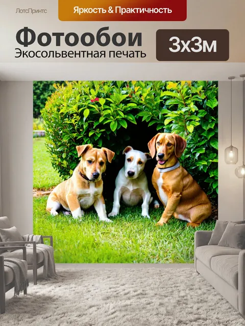 Фотообои собаки, которые играют в прятки в саду, среди кустов и деревьев