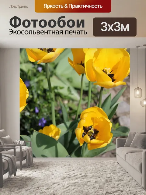 Фотообои Тюльпаны