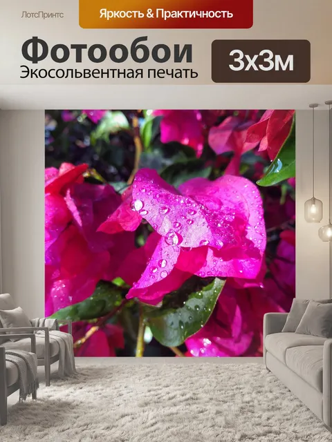 Фотообои Капли дождя