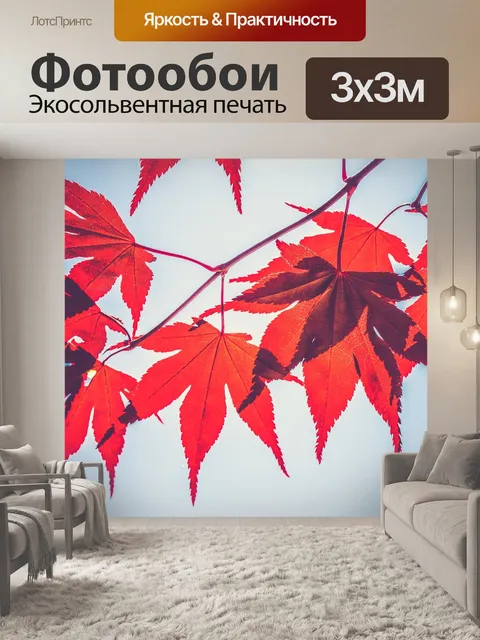 Фотообои Осенние листья