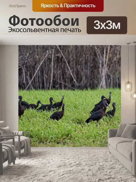 Фотообои Озеро