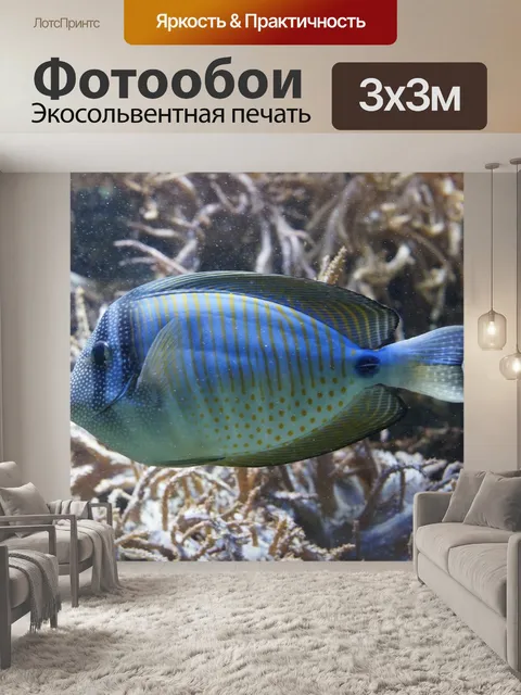 Фотообои Рыбы