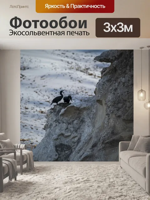 Фотообои бакланы