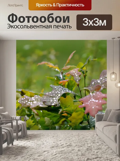 Фотообои Осенние листья