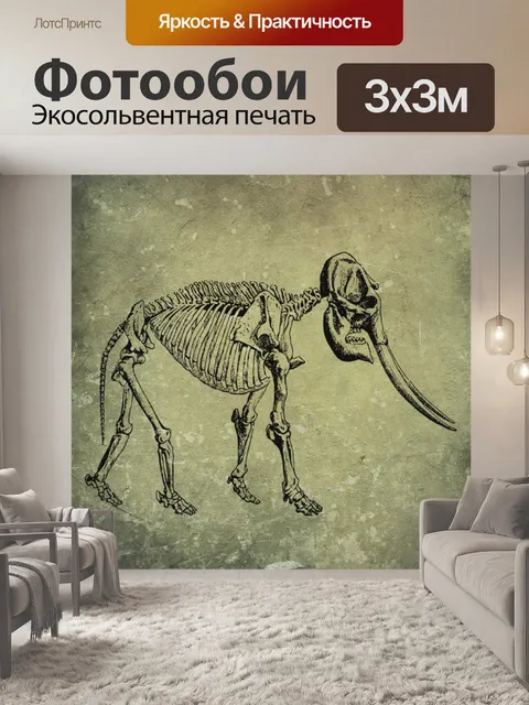 Фотообои скелет животного