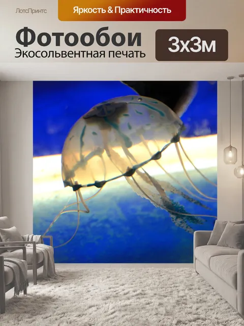 Фотообои Медуза (а)