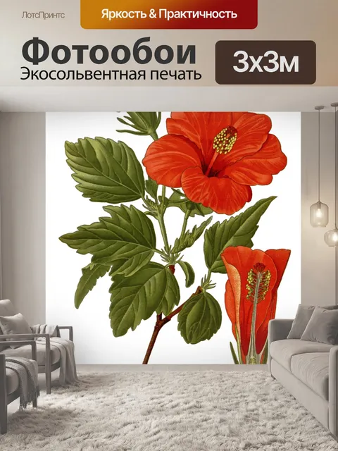 Фотообои Гибискус Роза Винтаж клипарт