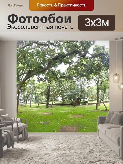 Фотообои лесные деревья пни и мох