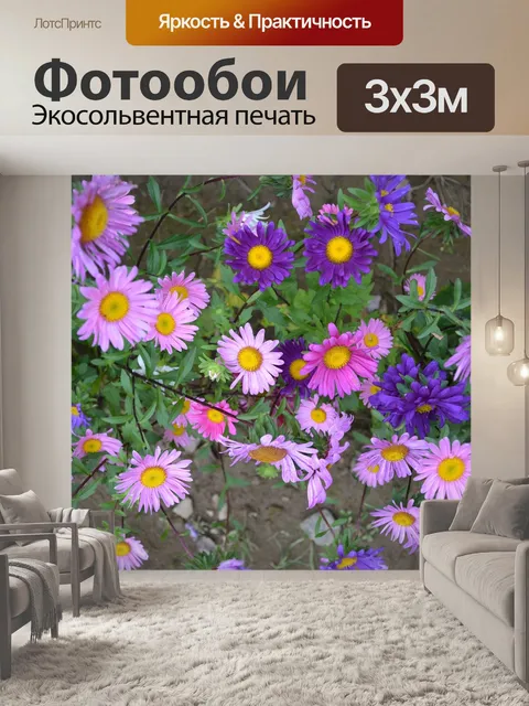 Фотообои Цветок