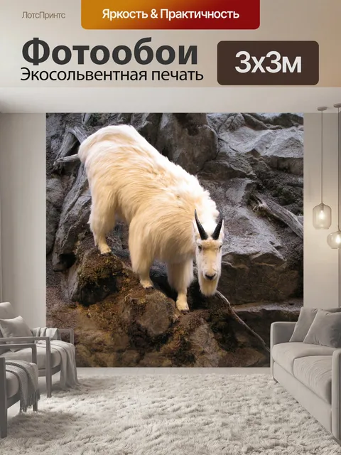Фотообои горный козел
