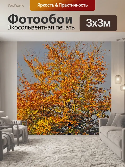 Фотообои Осень