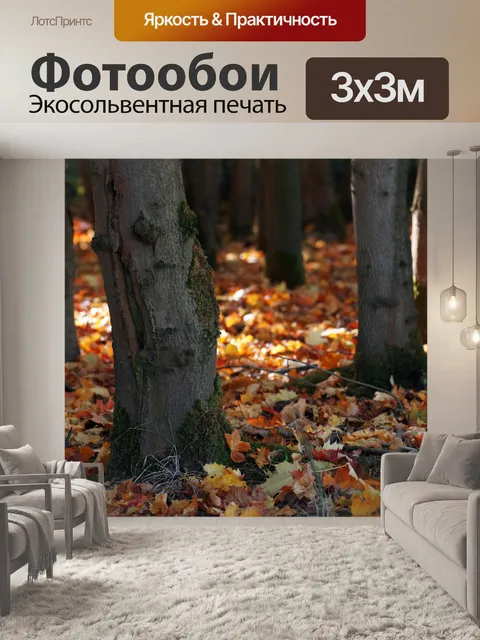 Фотообои Осень деревья листва осень листва