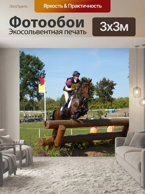 Фотообои Лошадь