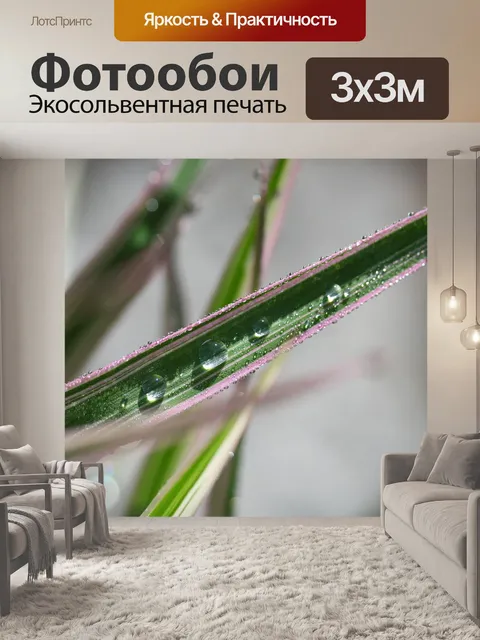 Фотообои Капли дождя на травинке
