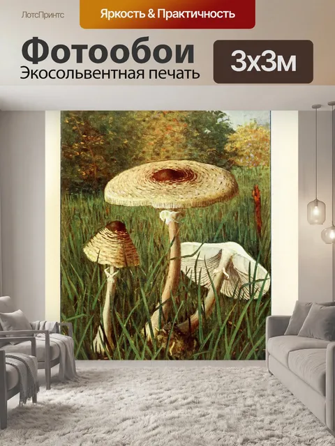 Фотообои Грибы век винтаж старый