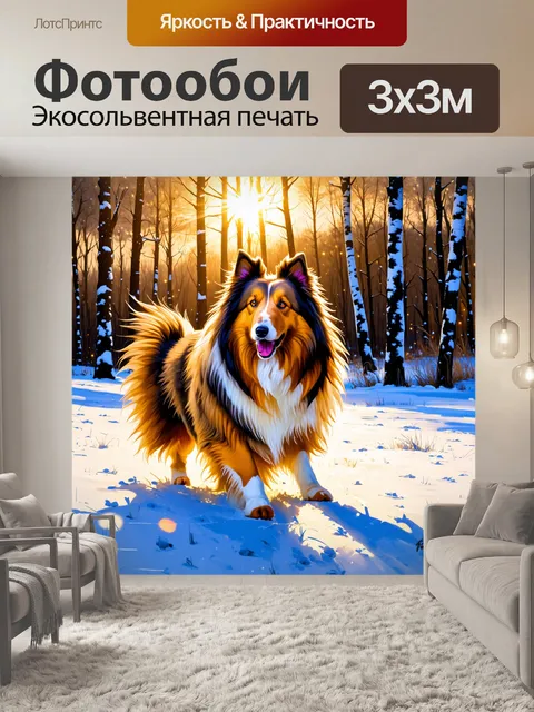 Фотообои грубая колли, играющая на сверкающем снежном поле в лучах зимнего солнца