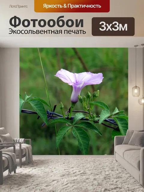 Фотообои Цветок