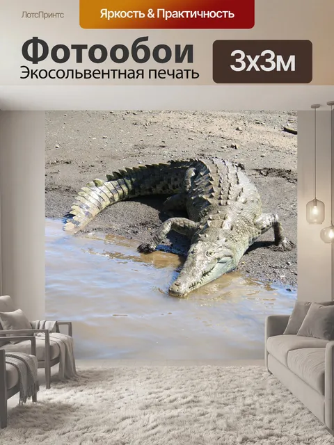 Фотообои Коста-Рика Крокодил