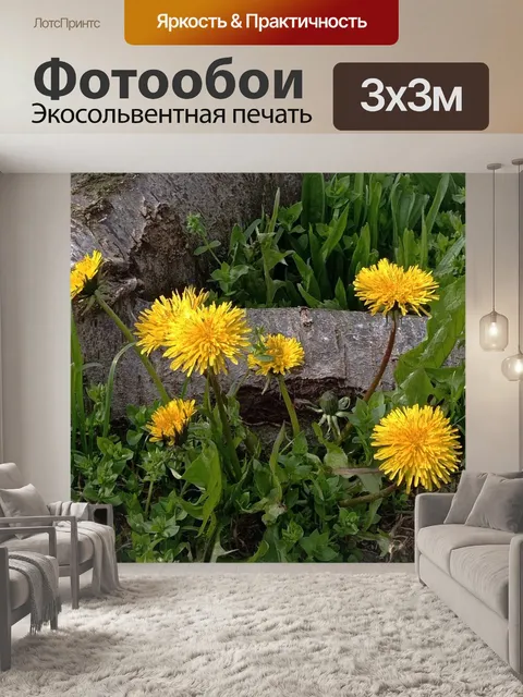 Фотообои Одуванчики